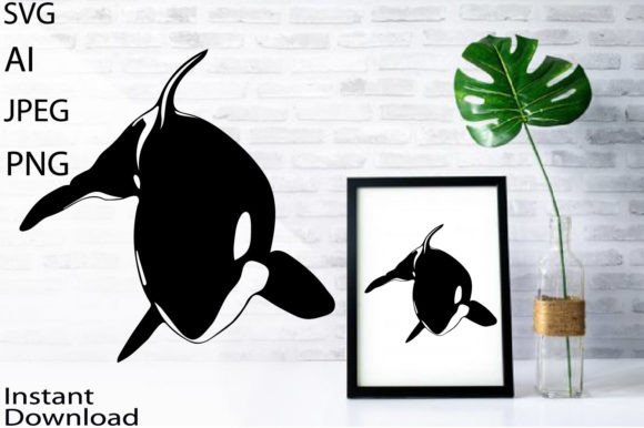 Download Whale Svg/Jpg/Png/Ai/Orca Whale Svg - Whale svg Collection
