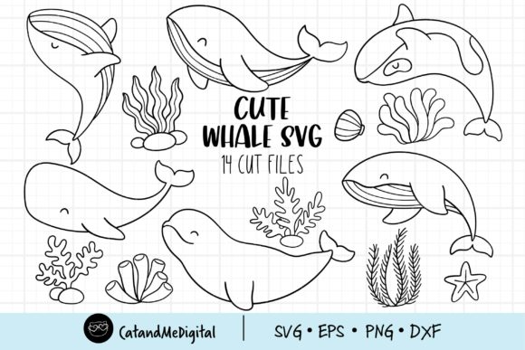Download Cute Whale Svg - Whale svg Collection